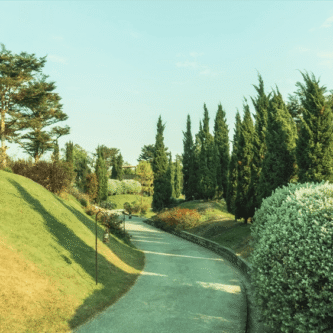 blog2 blog2