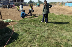 grass-installation
