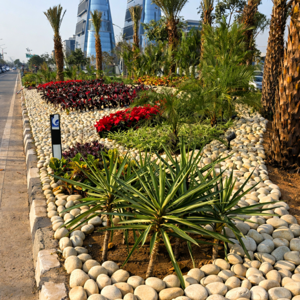 landscaping-sericvces-img